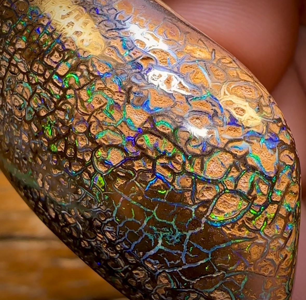 151.3cts - Top Tight Tribal Yowah Nut Opal