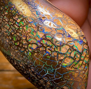 151.3cts - Top Tight Tribal Yowah Nut Opal