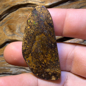 92.1cts - Tan Tribal Yowah Nut Opal. Red Multicolour