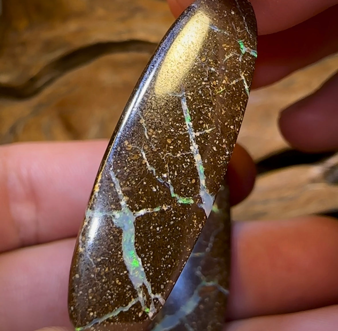 32.7cts - “Opal Web”Australian Boulder Opal Pair - Opal Whisperers
