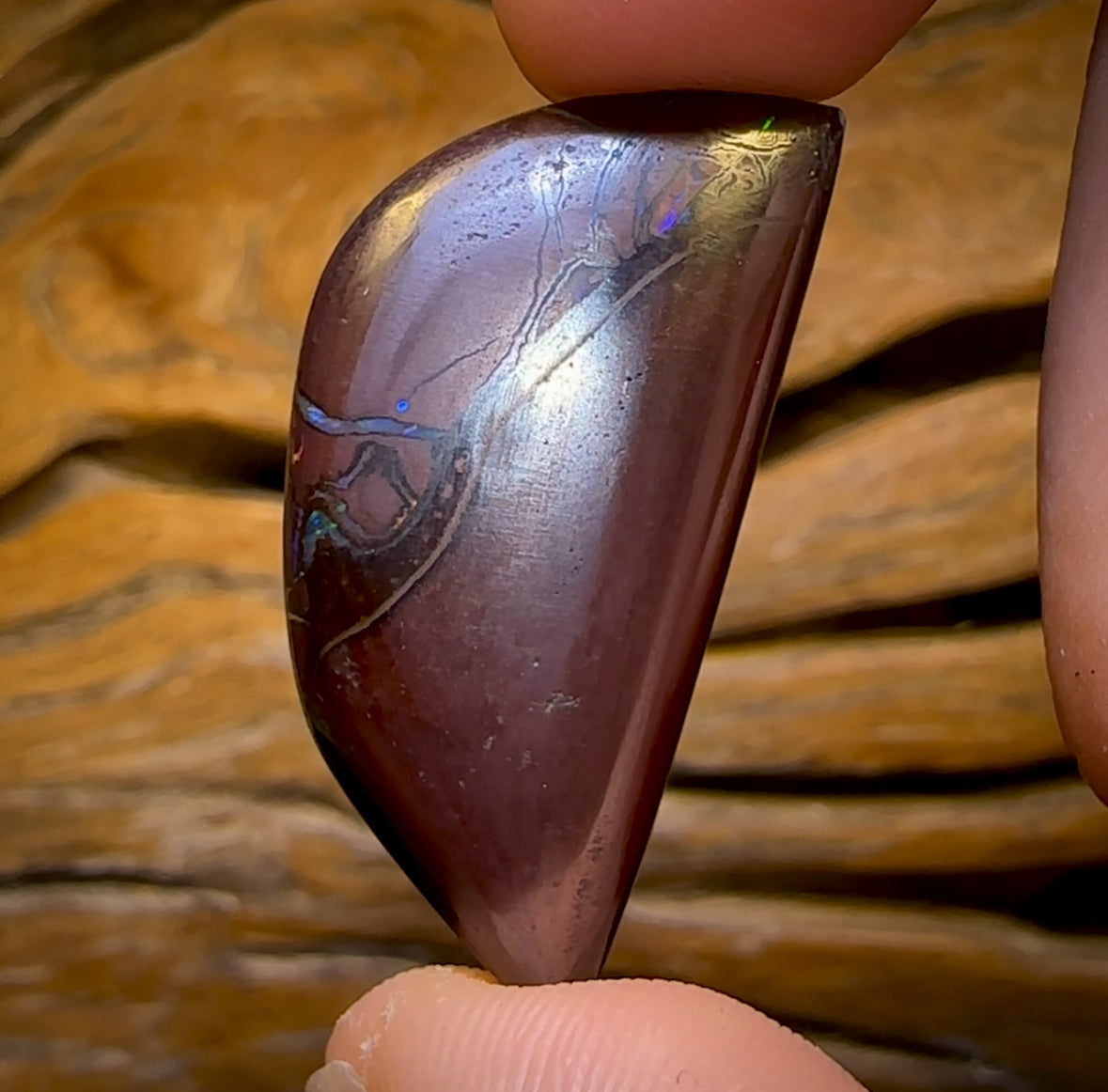 29.4cts - Top Tribal Australian Boulder Opal from Yowah. Red Multicolours!