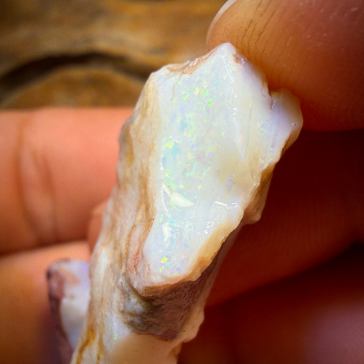 75.1cts - 3x South Australian White Opal Rough Parcel