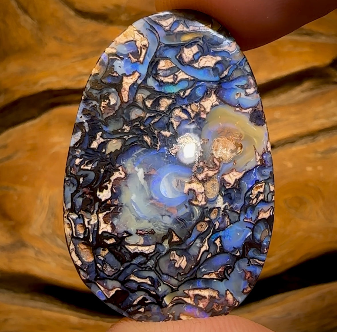 43.3cts -  “Celebrity Stone” Double Sided Tribal Yowah Nut Opal. Featured on “Outback Opal Hunters”!
