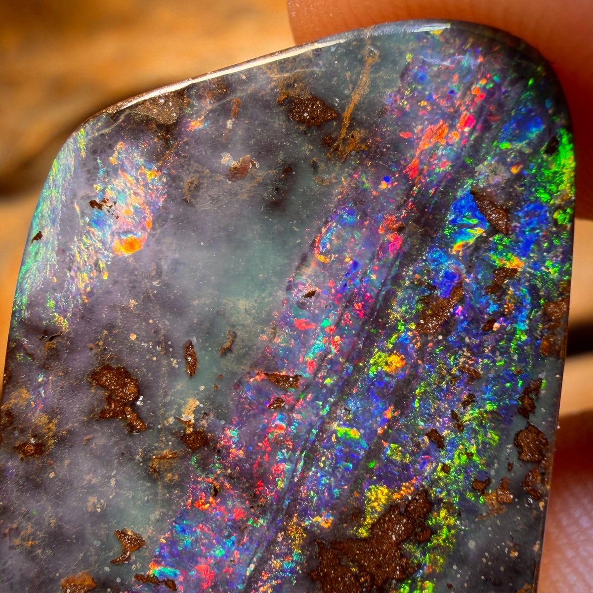 Bargain Card! 49.3cts - “Jet Stream” Large Australian Boulder Seam Opal. Electric Red Multi