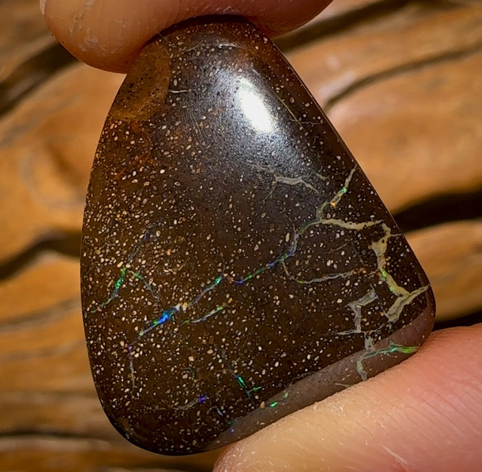 🔨 AUCTION 🔨 No Reserve 19.4cts - Queensland Boulder Seam Opal