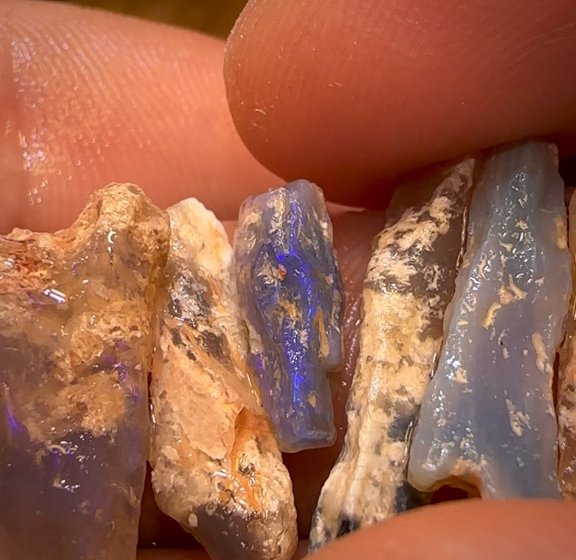 24.1cts - 9x Opalised Fossil Geological Specimens from Lightning Ridge