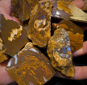 2061cts - 9x Queensland Boulder Rough Opal Parcel Only 0.25c/ct !