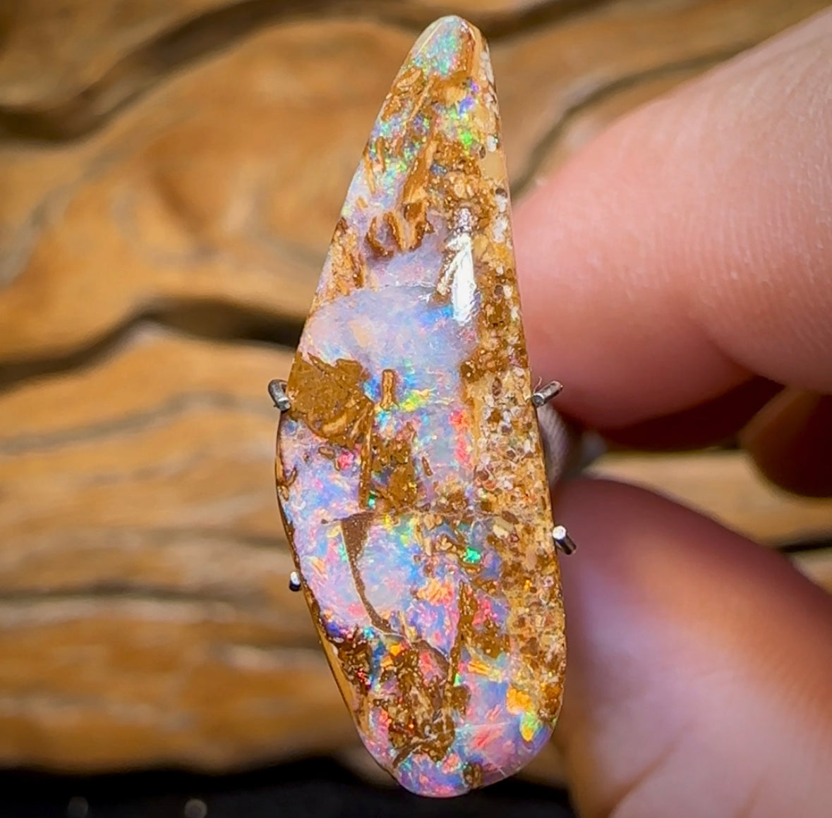 6.2cts - Queensland Boulder Pipe Opal from Yowah with Red