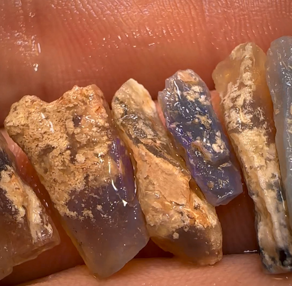 24.1cts - 9x Opalised Fossil Geological Specimens from Lightning Ridge