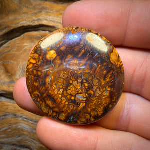 109.4cts - “Wale Migration” Large Tribal Yowah Nut Opal Picture Stone, Australian Opal