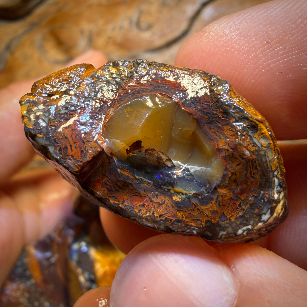 923cts - 11x Yowah Nut Rough Opal Parcel. Australian Boulder Opal