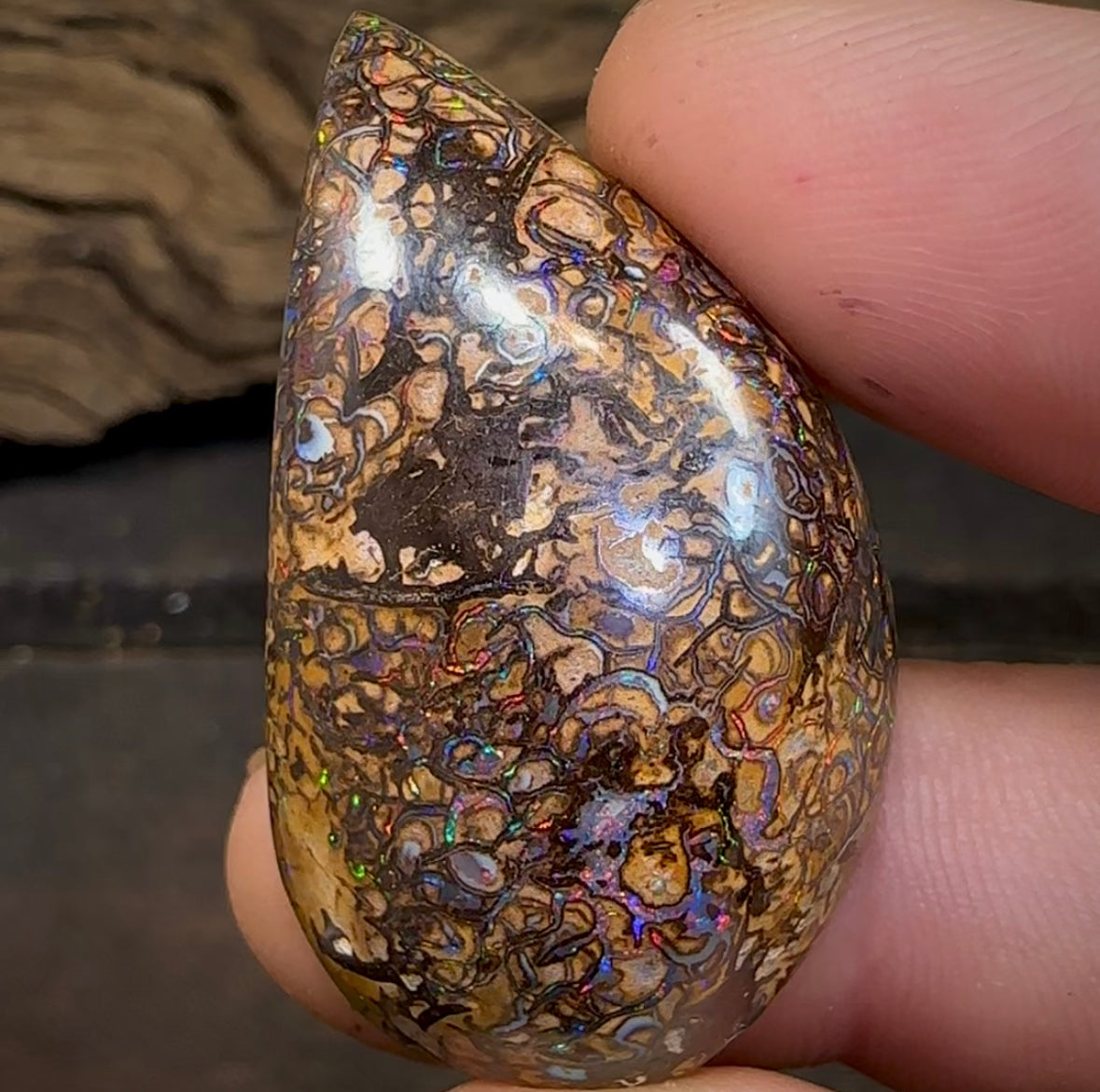 74.7cts - Watch Video! Natural Boulder Matrix Opal