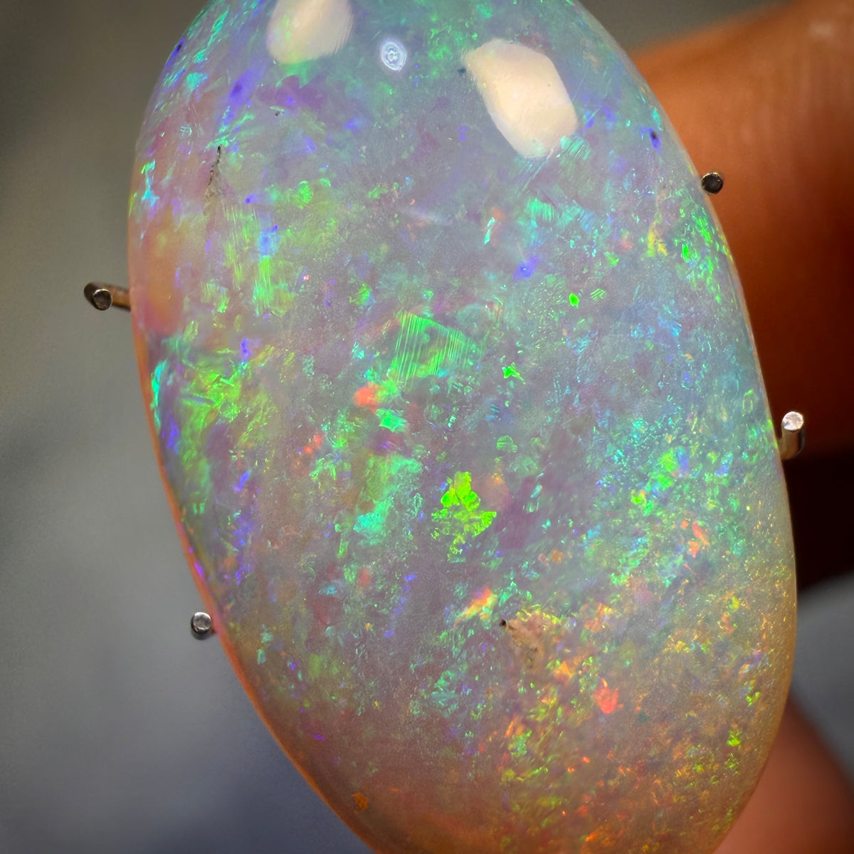 8.7cts - Gem Australian Boulder Crystal Opal. Featured on “Outback Opal Hunters”!