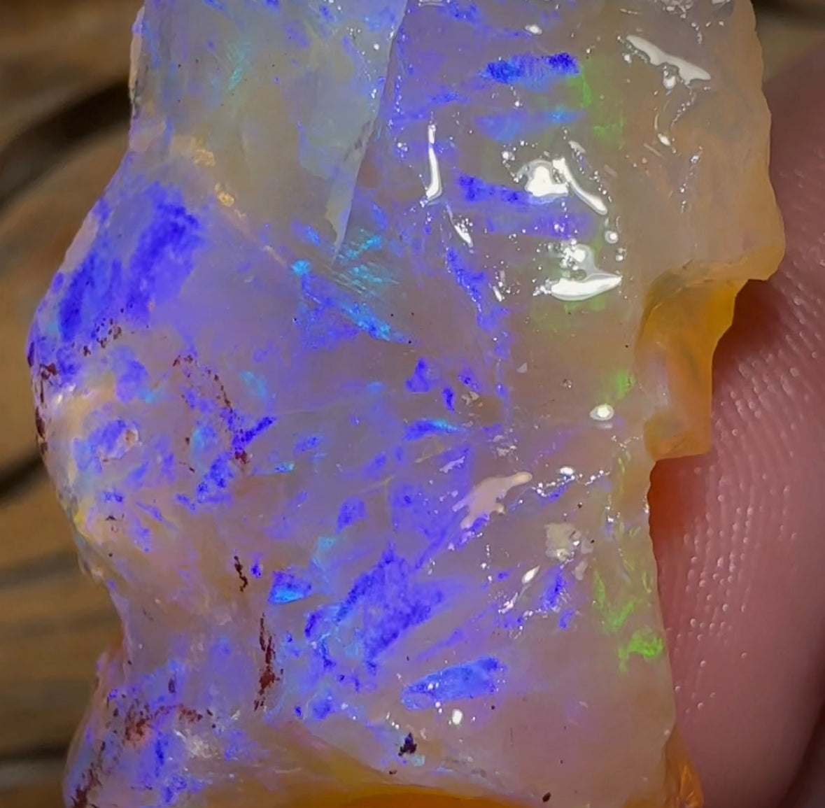 (Template) 50cts - Top Large Lightning Ridge Crystal Opal Rough Piece - Opal Whisperers