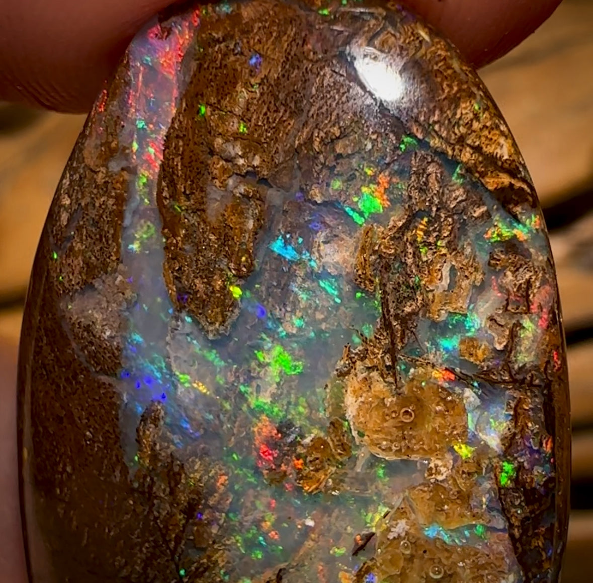Auction Fall-Through = Your Gain! 🔥 117.5cts - Rare Australian Boulder Wood Fossil Opal Split Pair Bid for One Bid For Both
