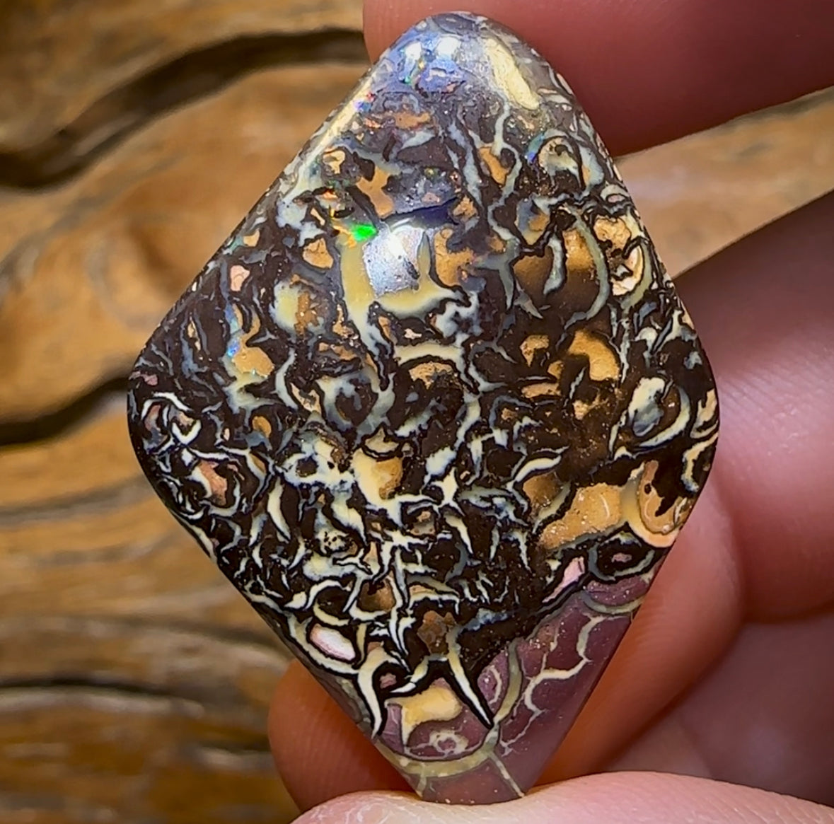 67.1cts - Tribal Queensland Boulder Opal from Koroit - Opal Whisperers