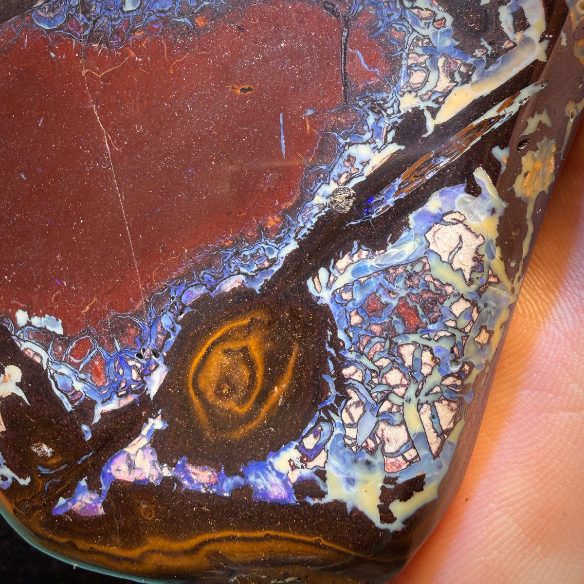 Bargain Monster Card!  2279cts - Large Tribal Yowah Nut Opal Pair. Polished Specimens