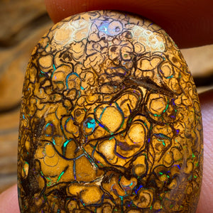 31.7cts - Tan Tribal Queensland Boulder Opal from Yowah