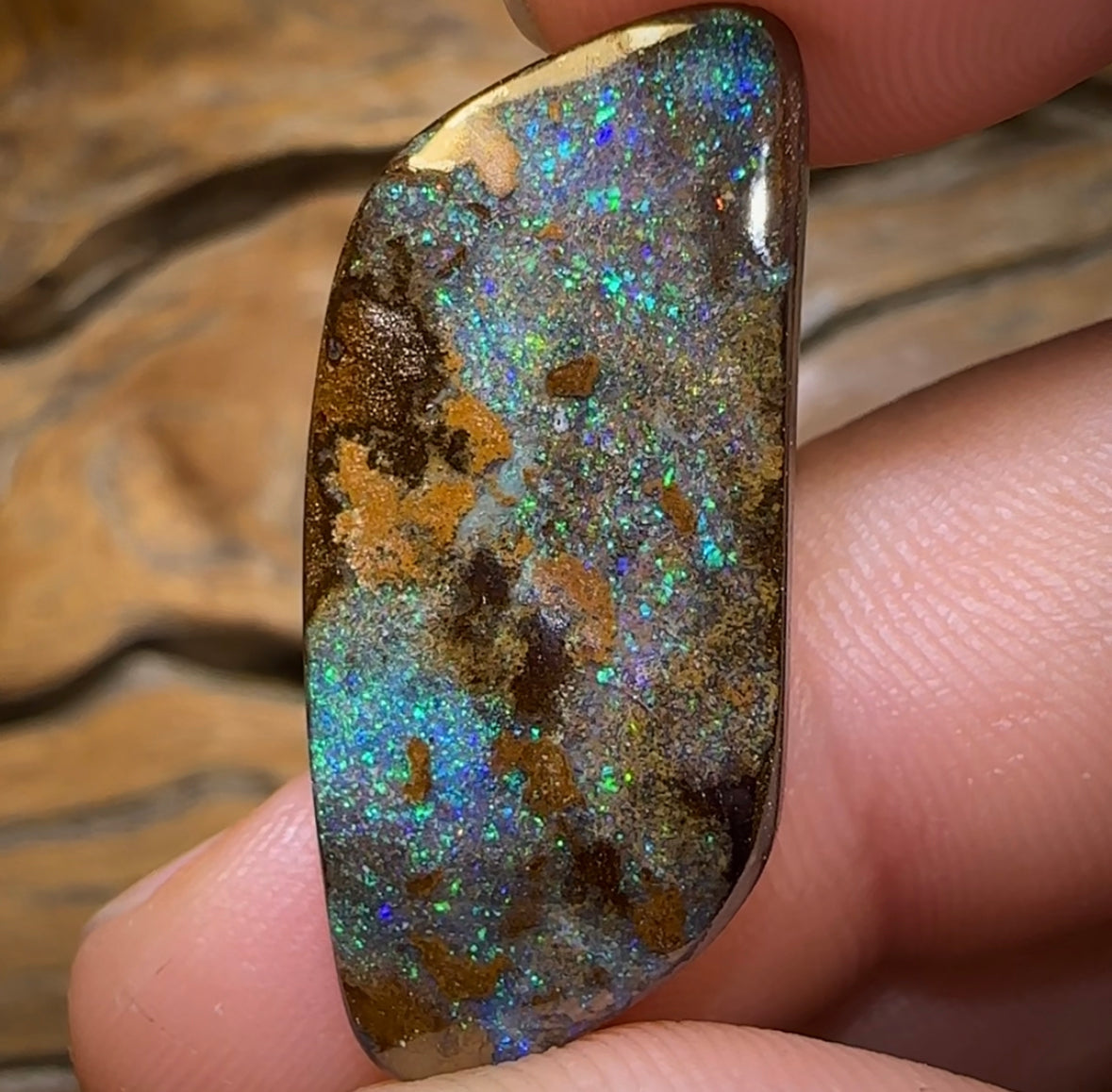 (Template) 19.3cts - Queensland Boulder Opal from Yowah - Opal Whisperers