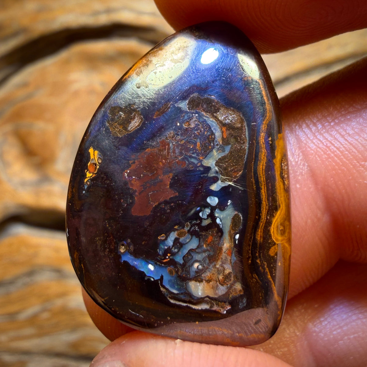 31.5cts - “Elvis” Yowah Nut Kernel Opal. Australian Boulder Opal