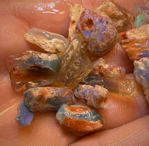 87.8cts - 22x Opalised Fossil Geological Specimens from Lightning Ridge