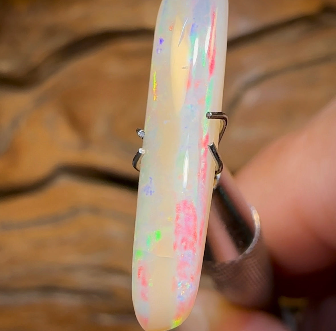 2.6cts - Queensland Boulder Crystal Opal. Australian Opal - Opal Whisperers