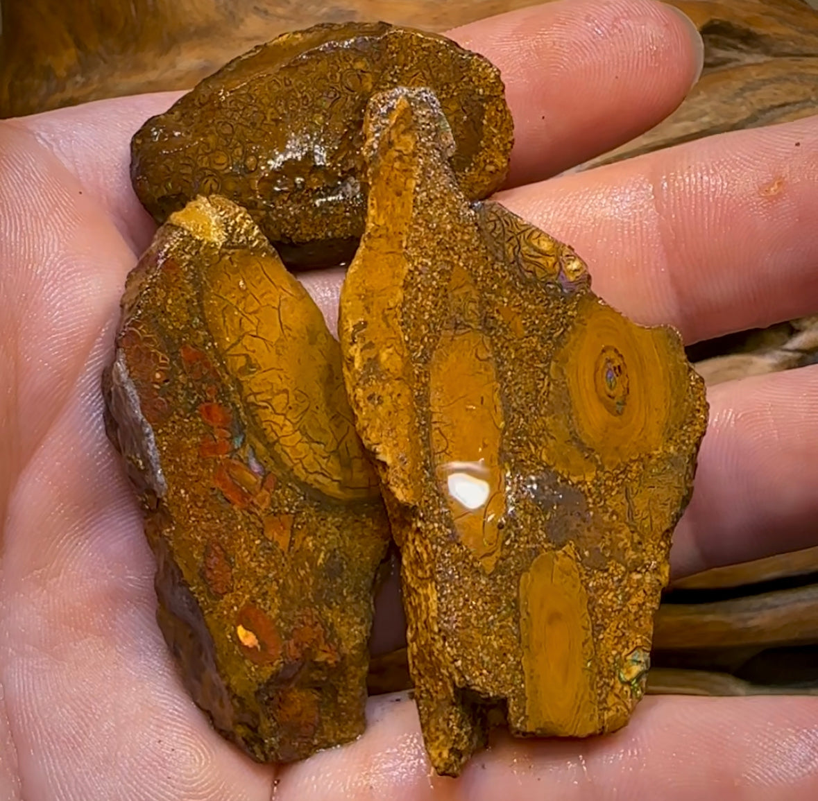 337.3cts - 3x Yowah Nut Rough Opal Parcel. Queensland Boulder Opal - Opal Whisperers