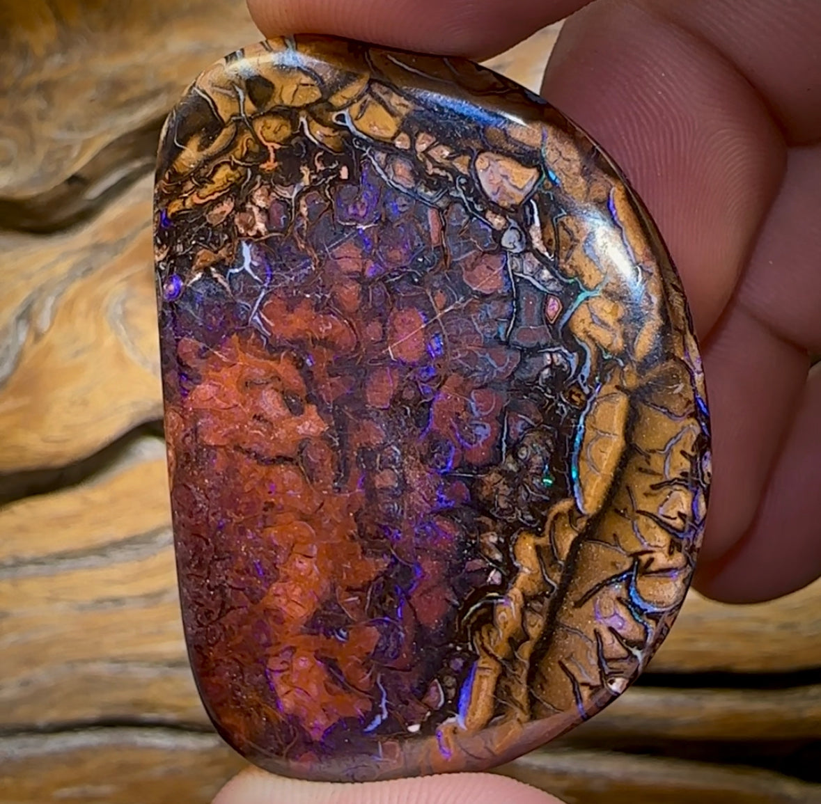 156.7cts - Large Yowah Nut Tribal Opal - Opal Whisperers