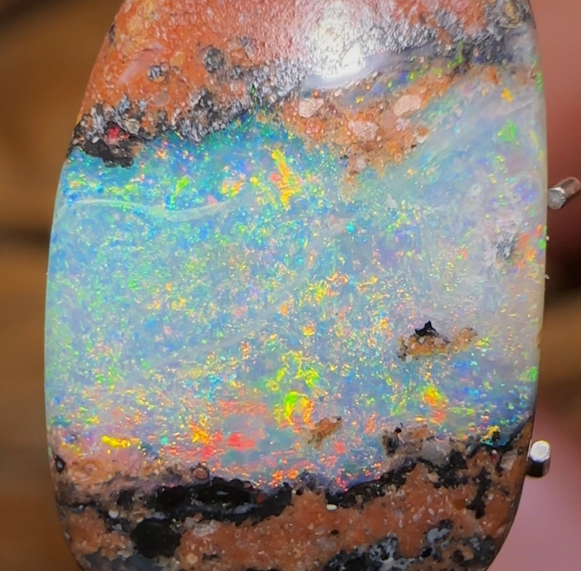 5.2cts - Solid Australian Boulder Pipe Opal