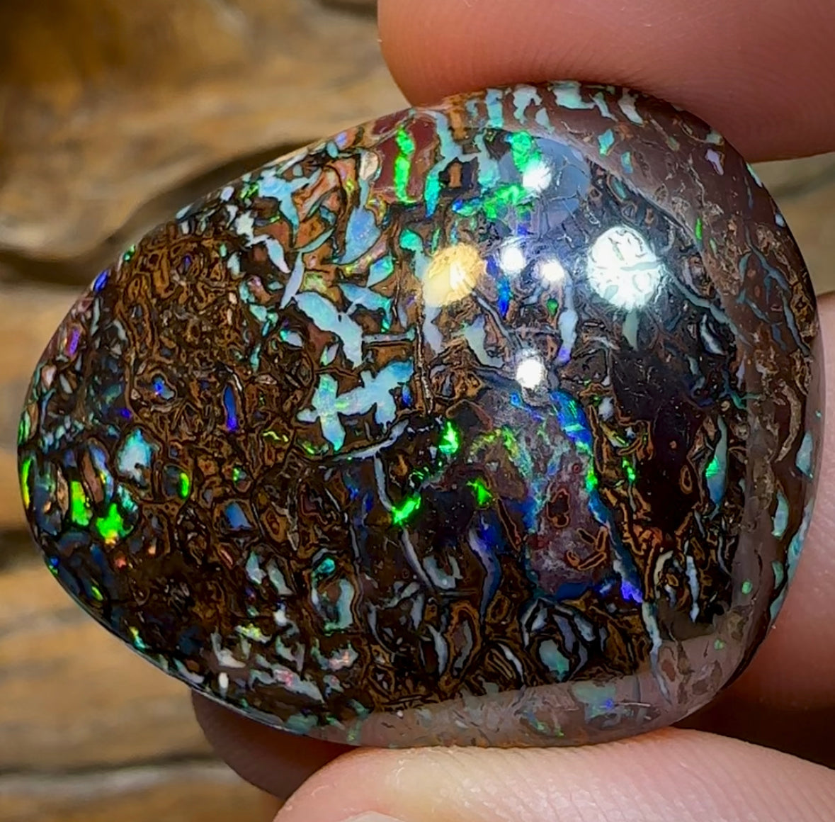 92.4cts - Tribal Koroit Nut Opal - Opal Whisperers