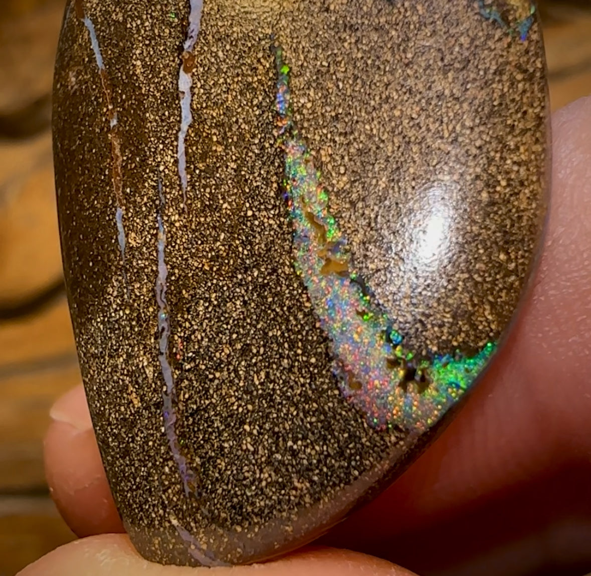 Auction Fall-Through = Your Gain! 🔥 Now More Than 50% Off RRP 🚨 No Reserve 43 x 23mm - Drilled Australian Boulder Opal