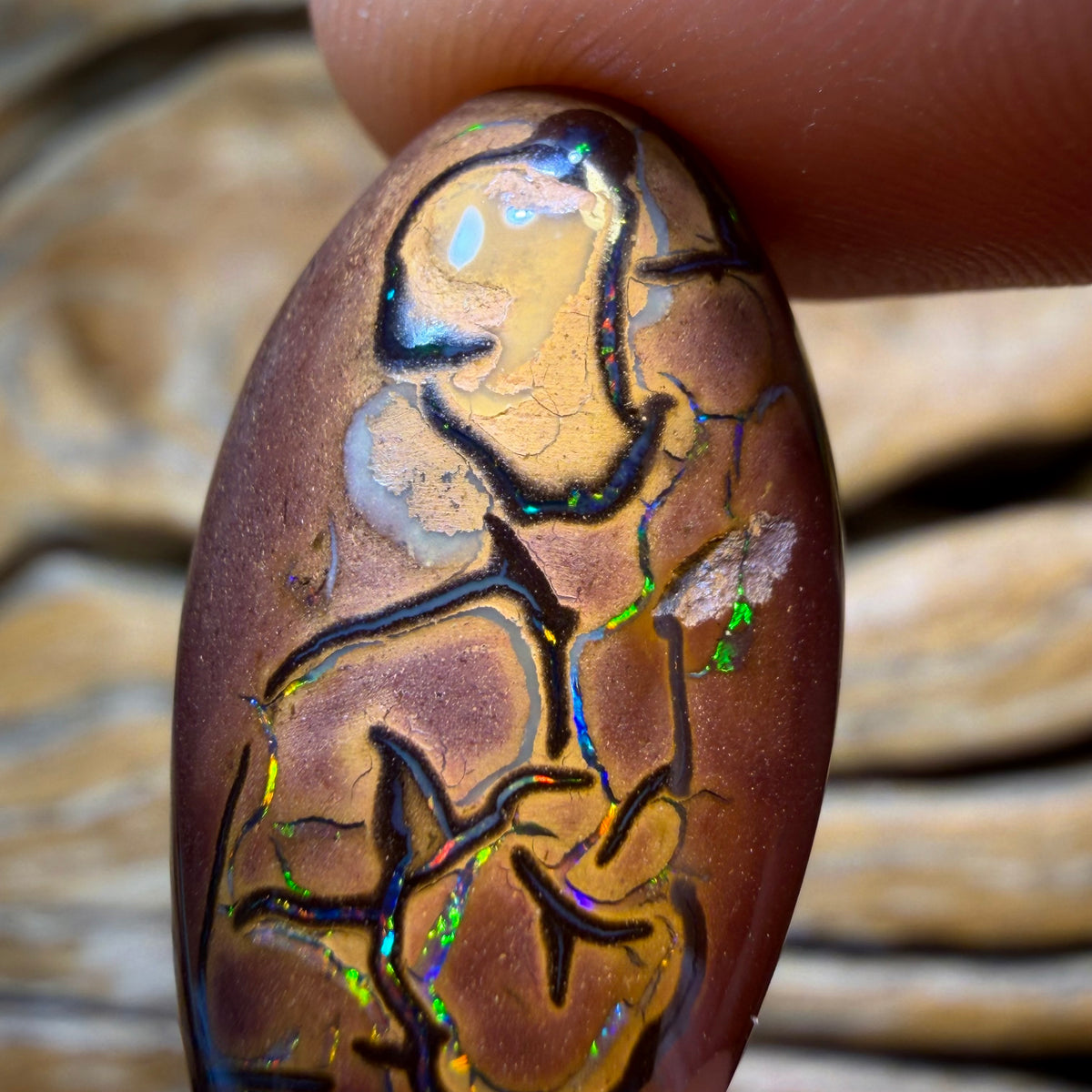 Opal Fest Bargain Card 28.1cts - Tribal Magic Picture Stone Yowah Nut Opal. Australian Opal