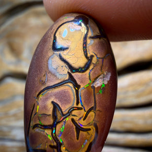 Opal Fest Bargain Card 28.1cts - Tribal Magic Picture Stone Yowah Nut Opal. Australian Opal