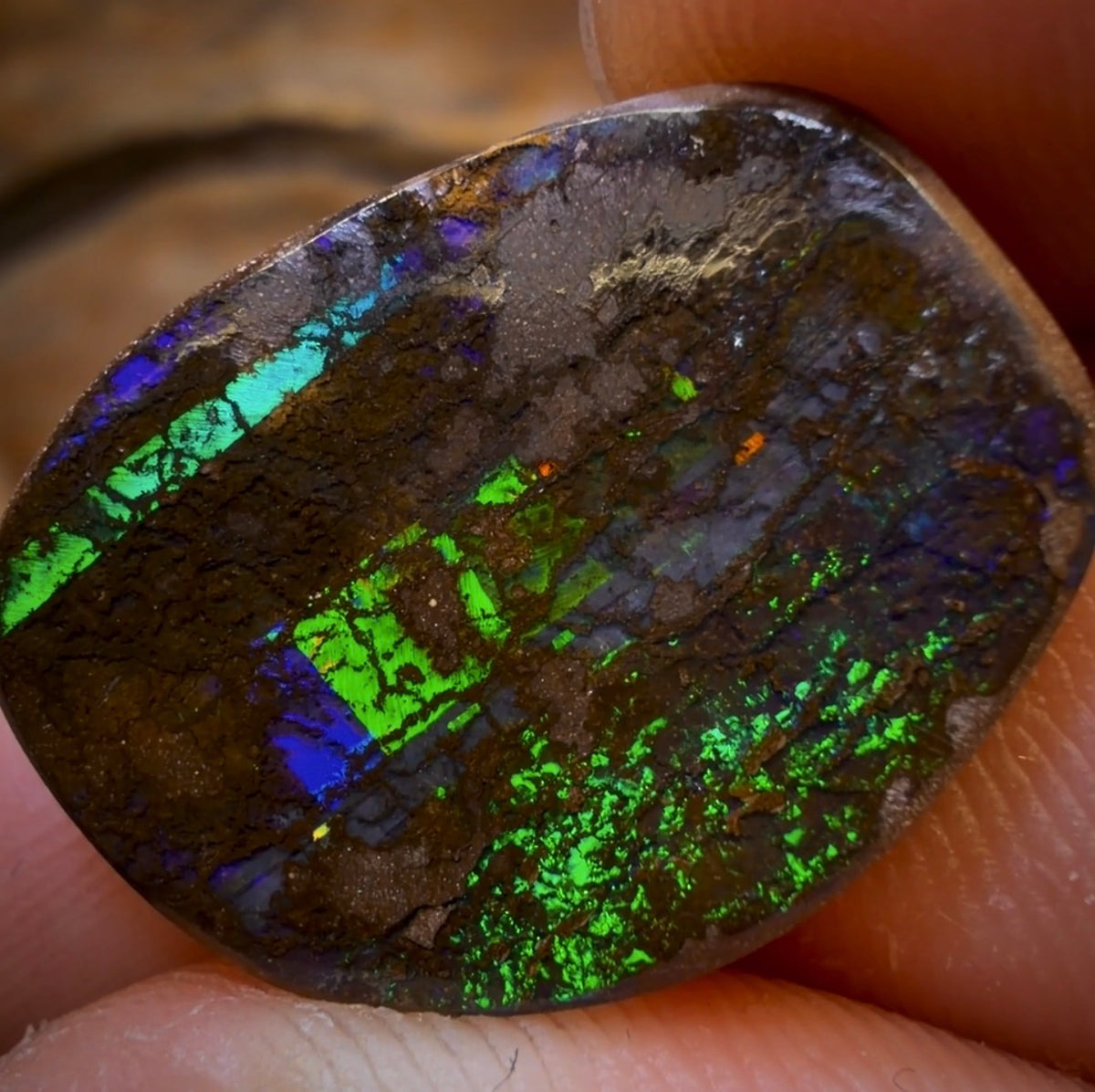 12.2cts - Queensland Boulder Seam Opal