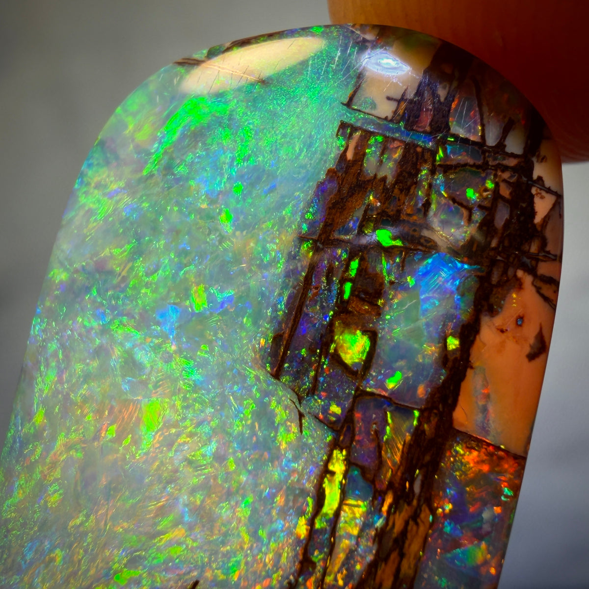 “Set in Stone” - Private Collector Investment - 12.6cts - TOP Gem Wood Fossil Replacement Opal from Yowah. Featured on “Outback Opal Hunters”!