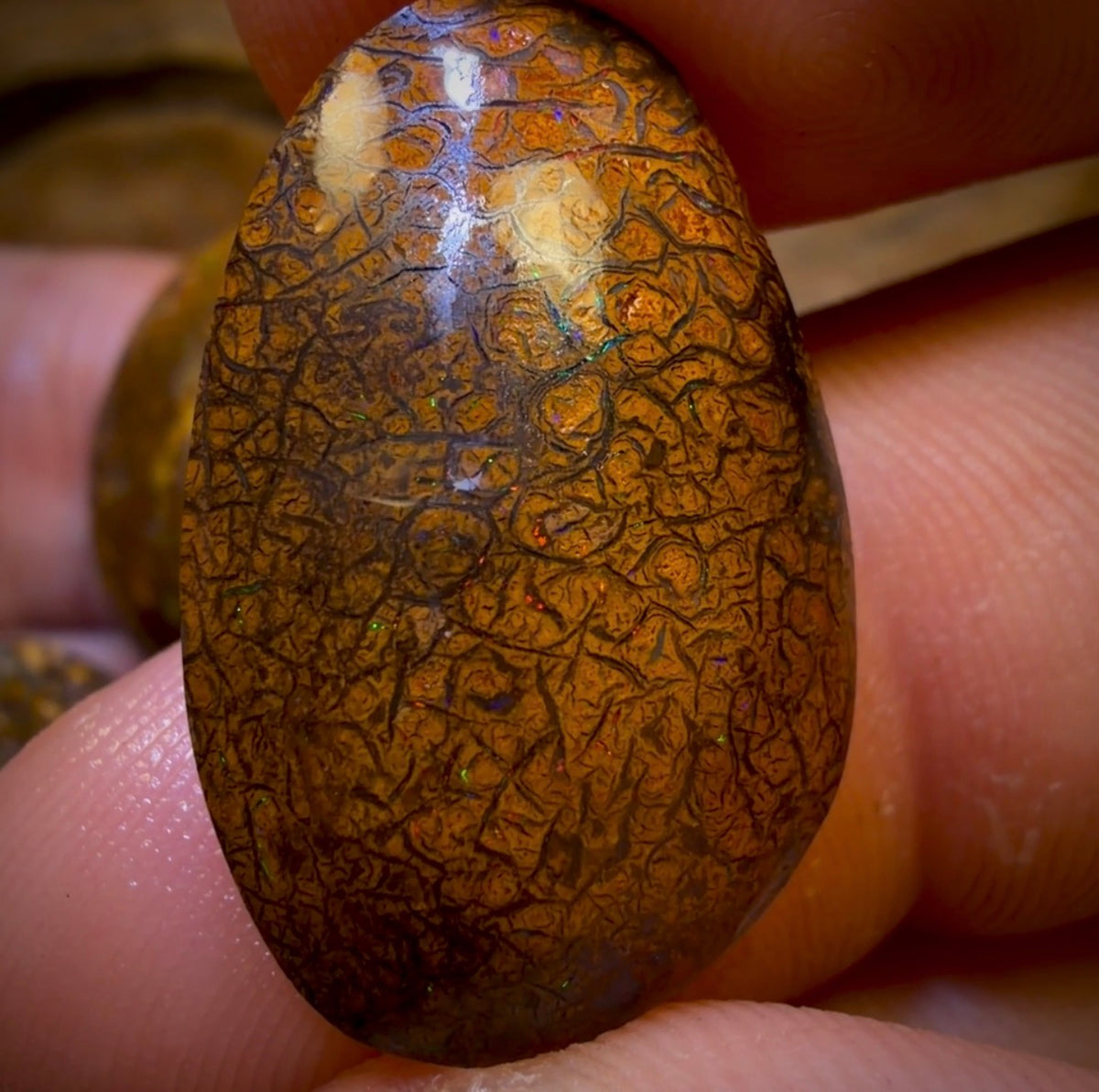 94.5cts- 4x Tribal Queensland Boulder Opal Rubs