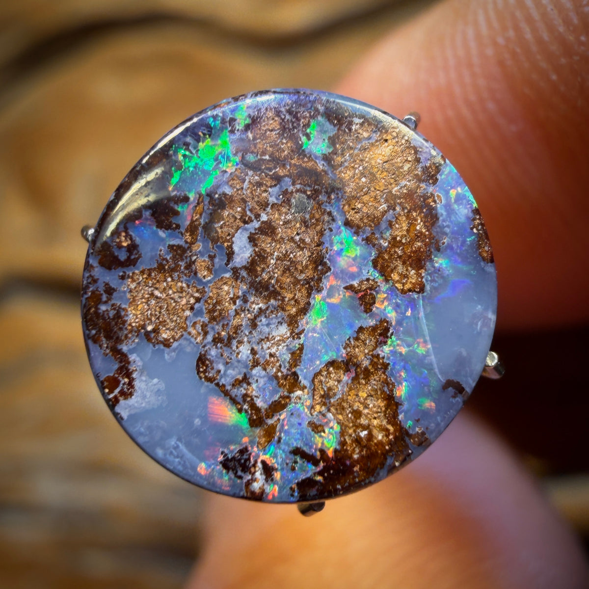 4.3cts - Queensland Boulder Opal from Yowah