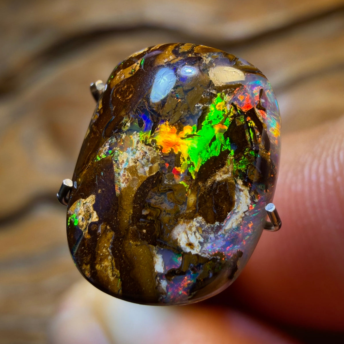 4.5cts - Yowah Nut Opal. Red Multicolour