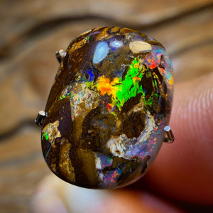 4.5cts - Yowah Nut Opal. Red Multicolour
