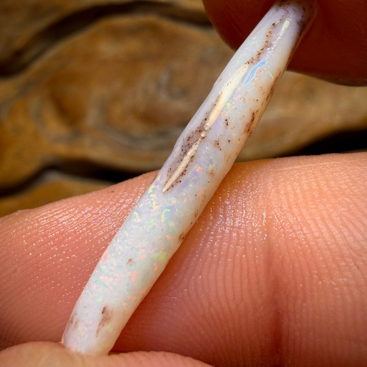 4.6cts - Opalised Belemnite Geological Specimen from South Australia