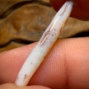 4.6cts - Opalised Belemnite Geological Specimen from South Australia