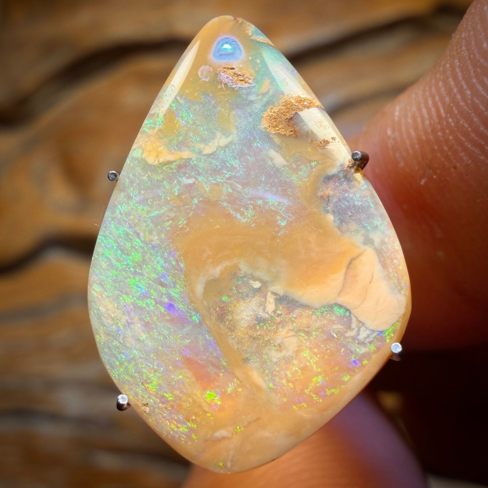 4.6cts - Queensland Boulder Opal from Yowah