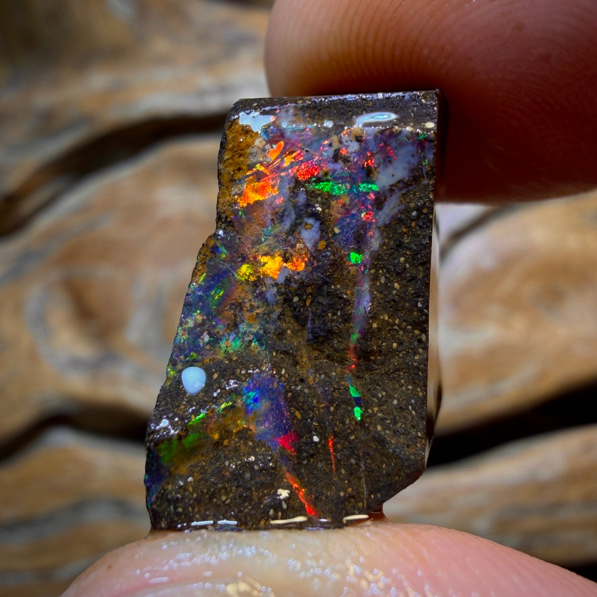 40.2cts - Queensland Boulder Seam Opal Rough Piece. Natural Split
