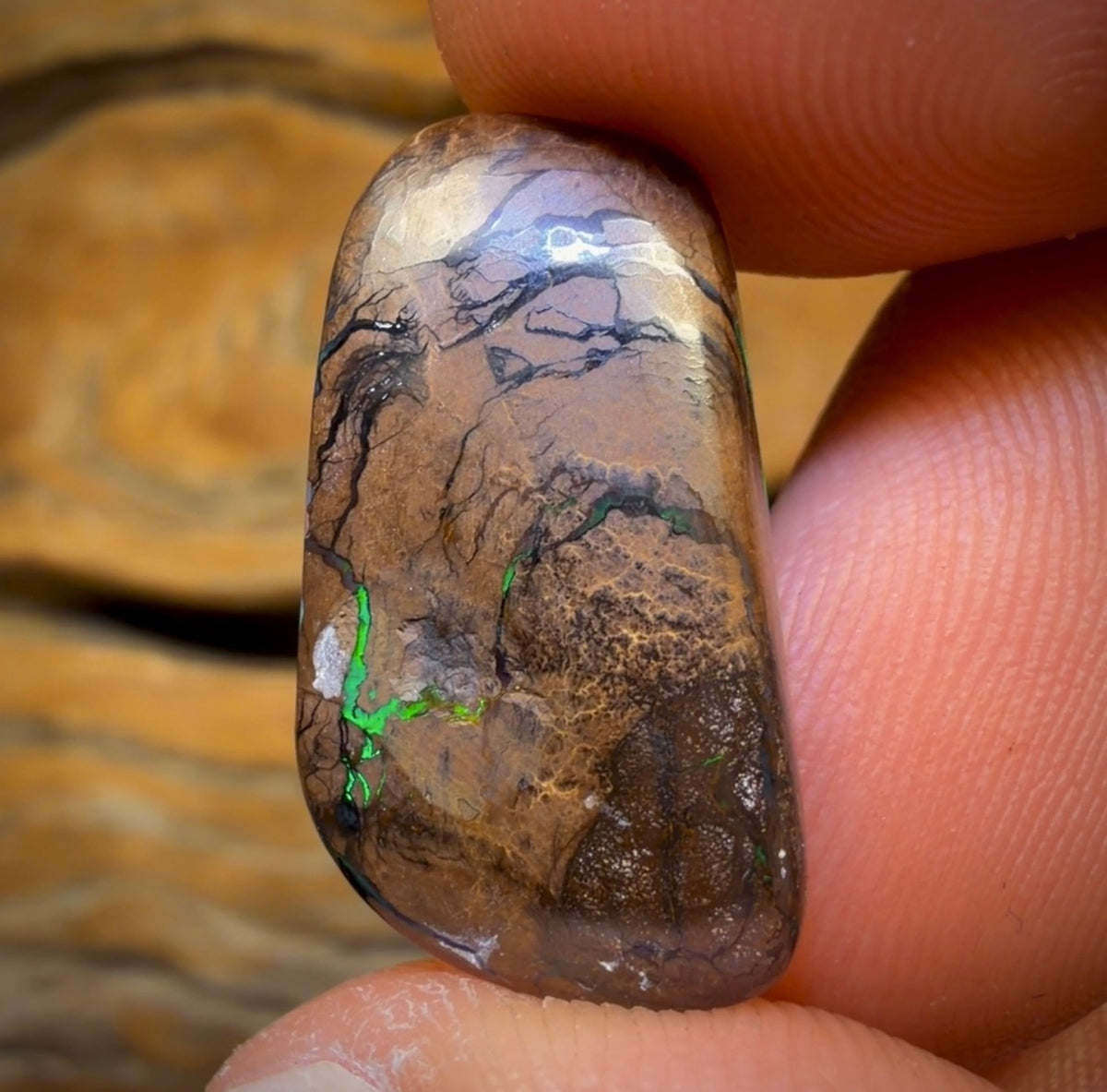 9.2cts - Best of the Best Blue Green GEM Queensland Boulder Seam Opal