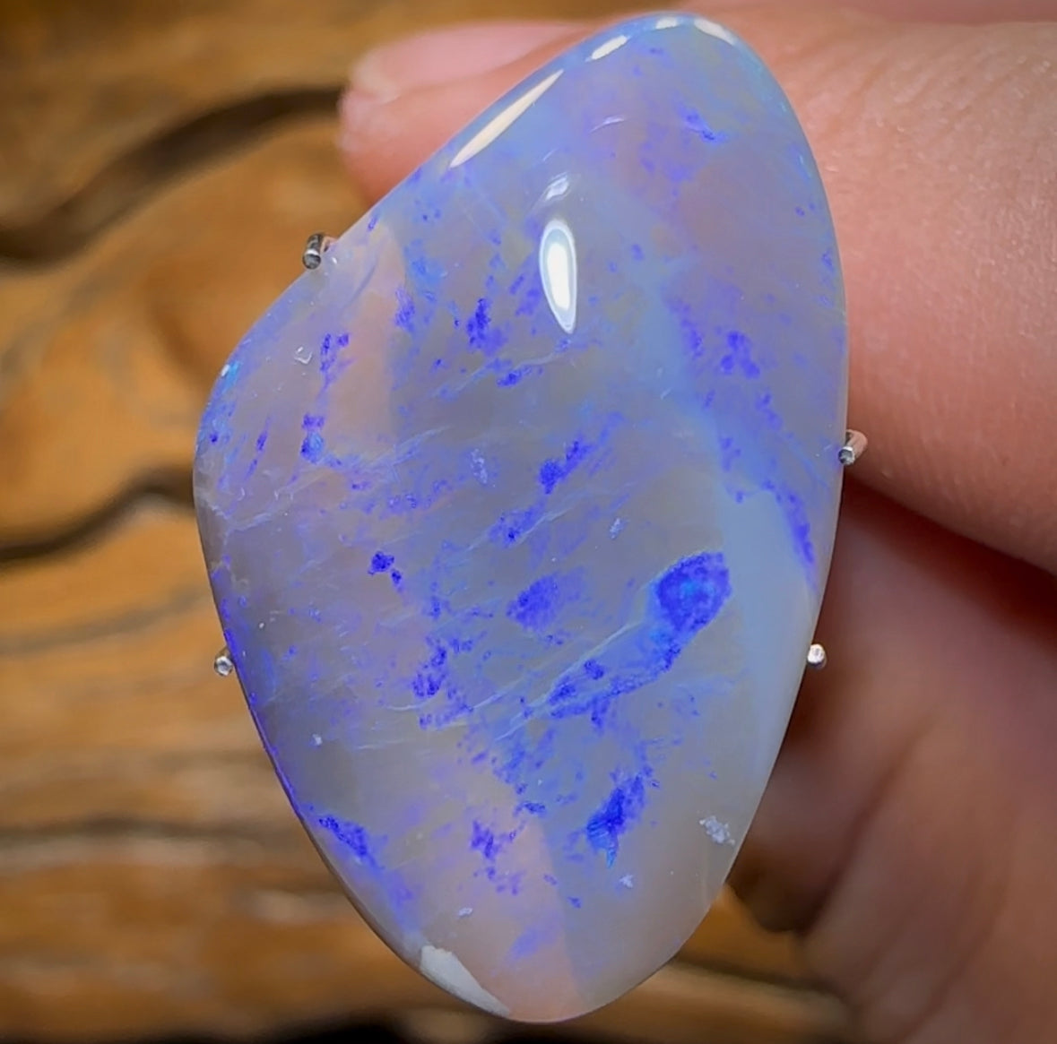 9.8cts - Lightning Ridge Dark Opal - Opal Whisperers
