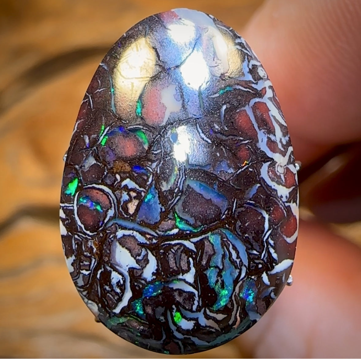 13.7cts - Top Tribal Black Boulder Opal Picture Stone from Koroit