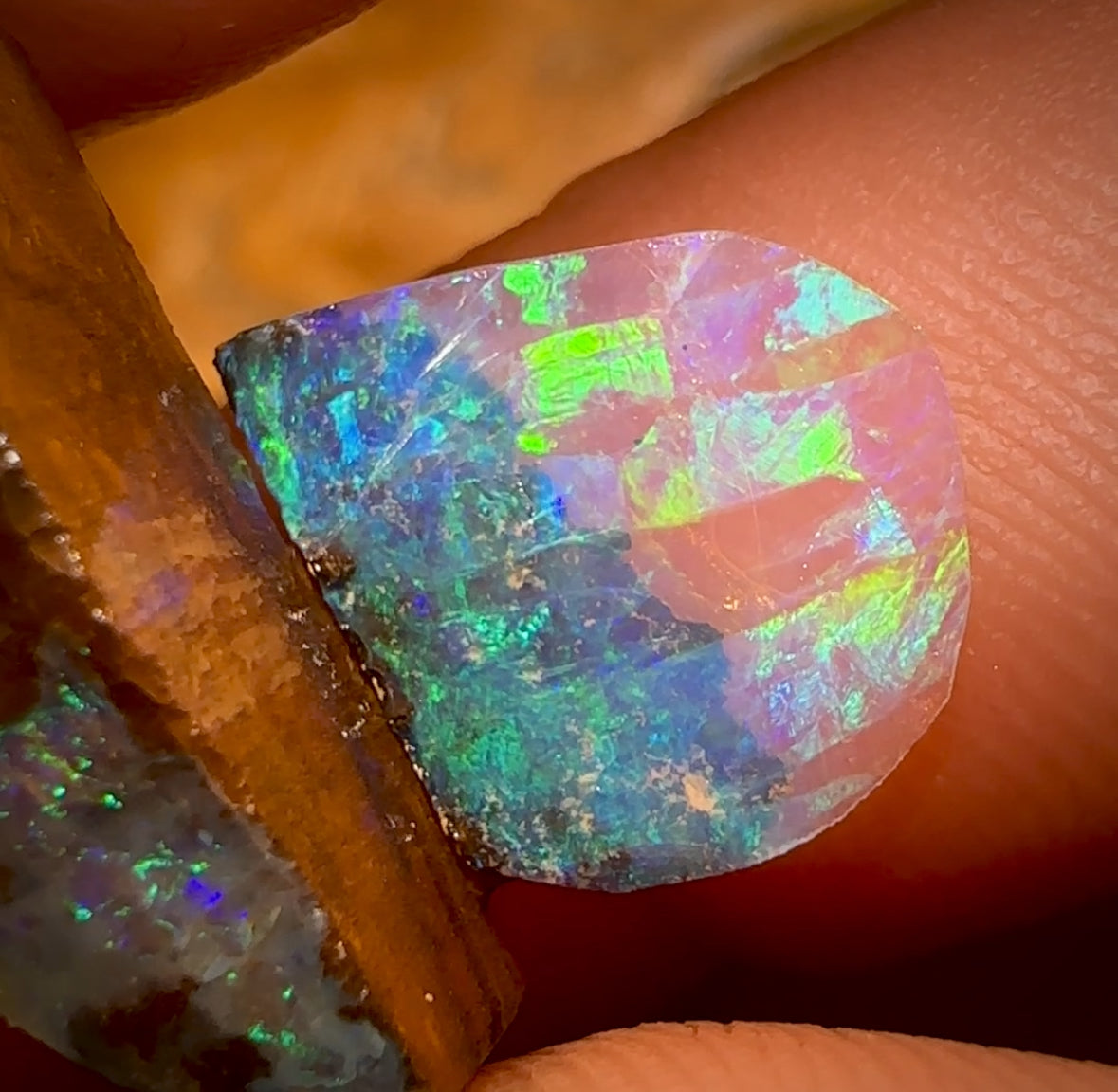 18.2cts - 2x Quality Australian Boulder Seam Opal Rough Pieces