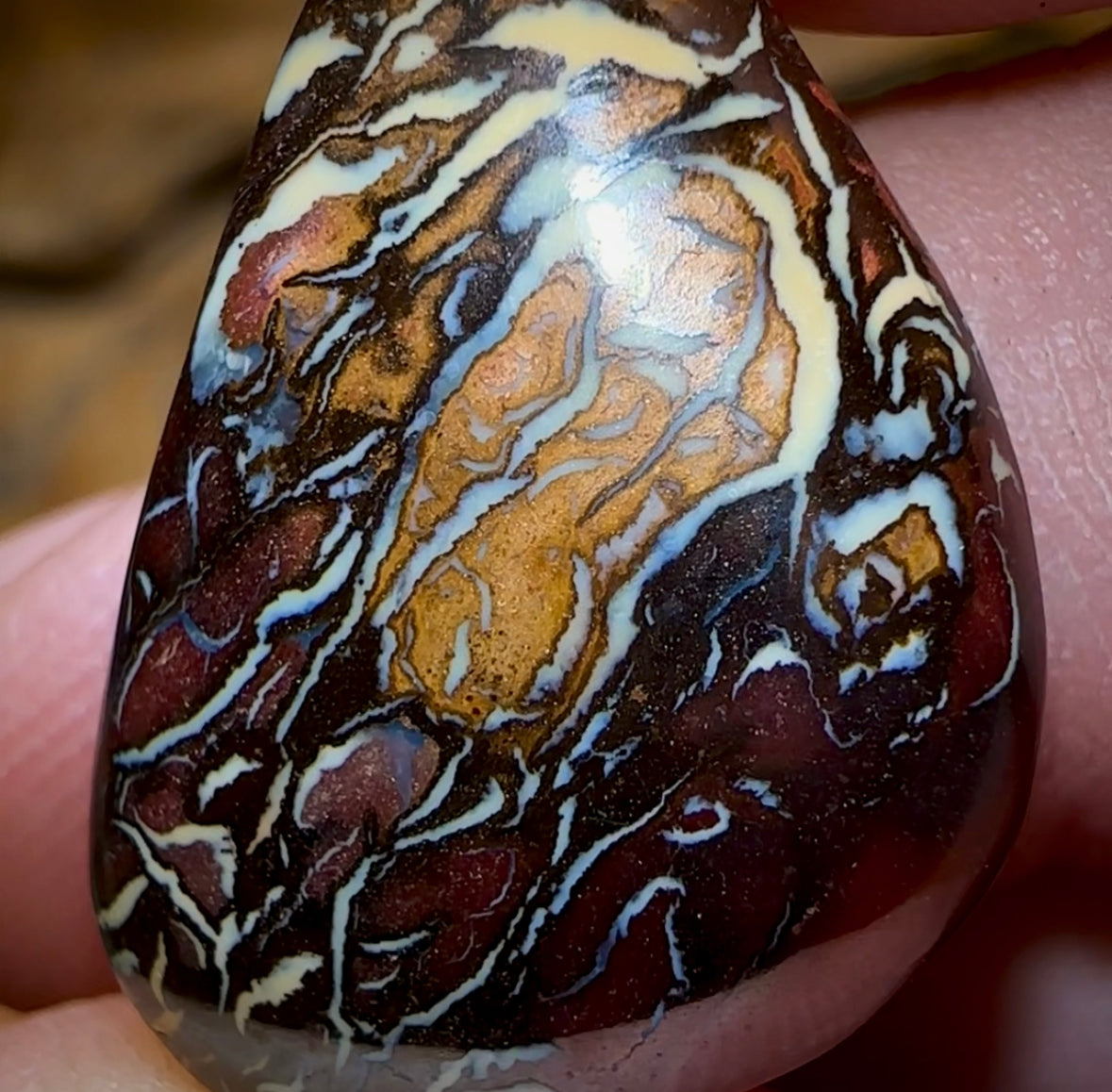 19.3cts - Top Tribal Pattern Koroit Nut Opal - Opal Whisperers