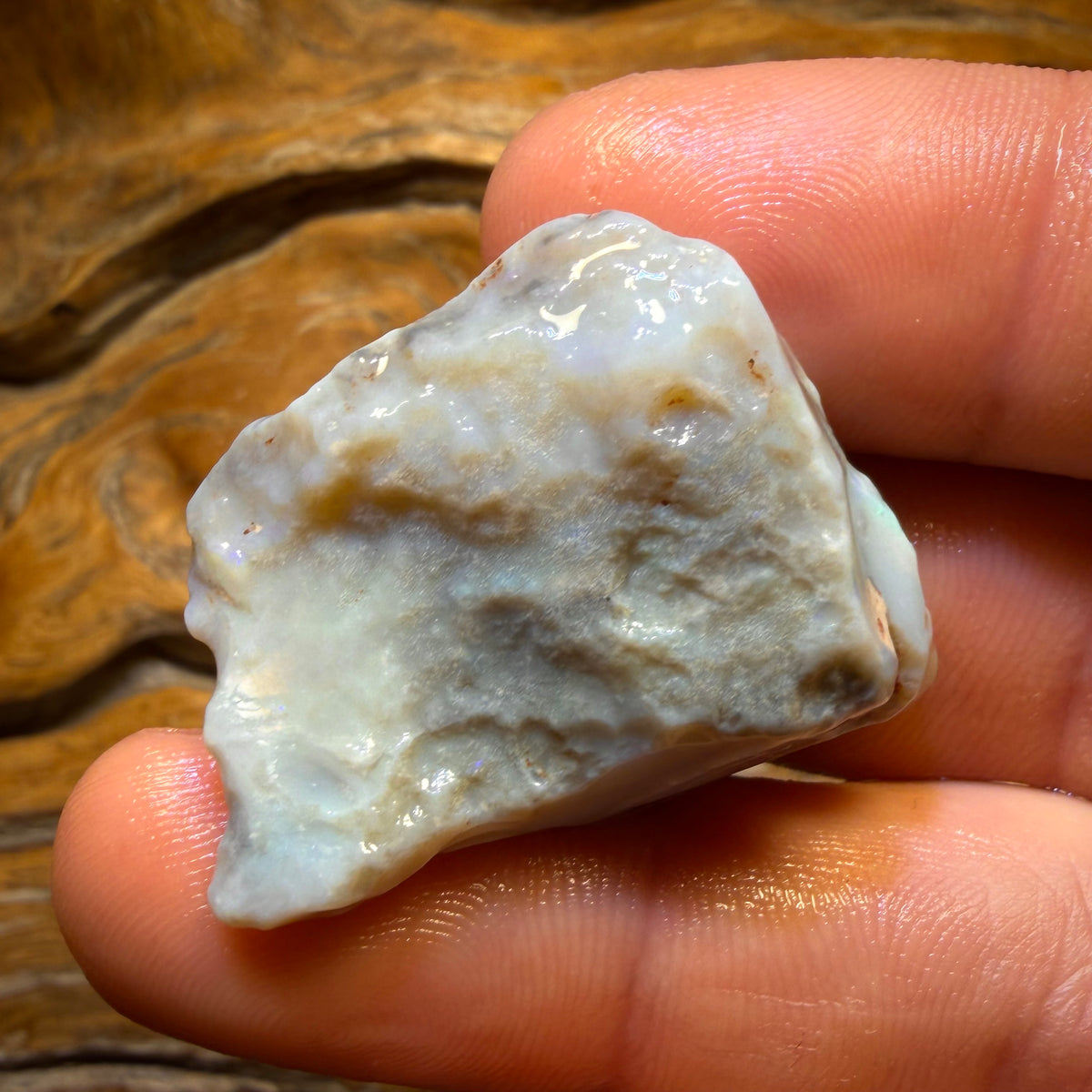 Wildcard! 76.5cts - Lightning Ridge Dark Opal Rough Piece