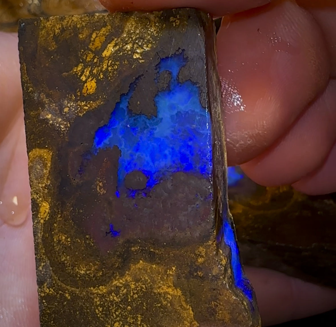 525cts - HUGE Blue Slab Bargain 3x Queensland Boulder Rough Opal Parcel. Yowah Nut